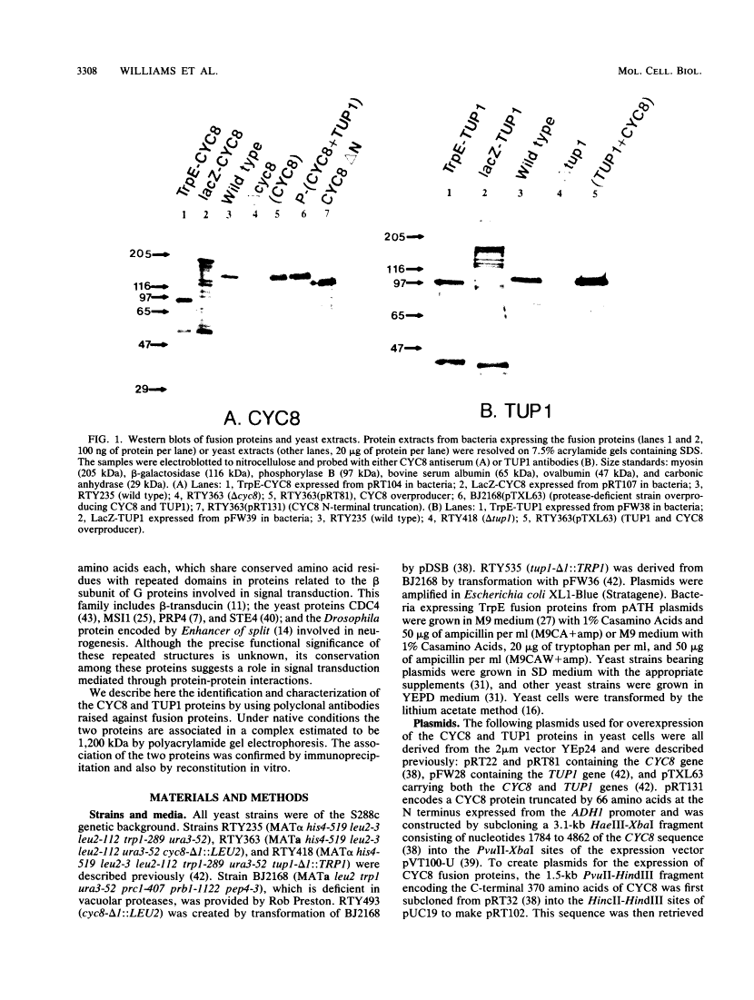 icon of scanned page 3308