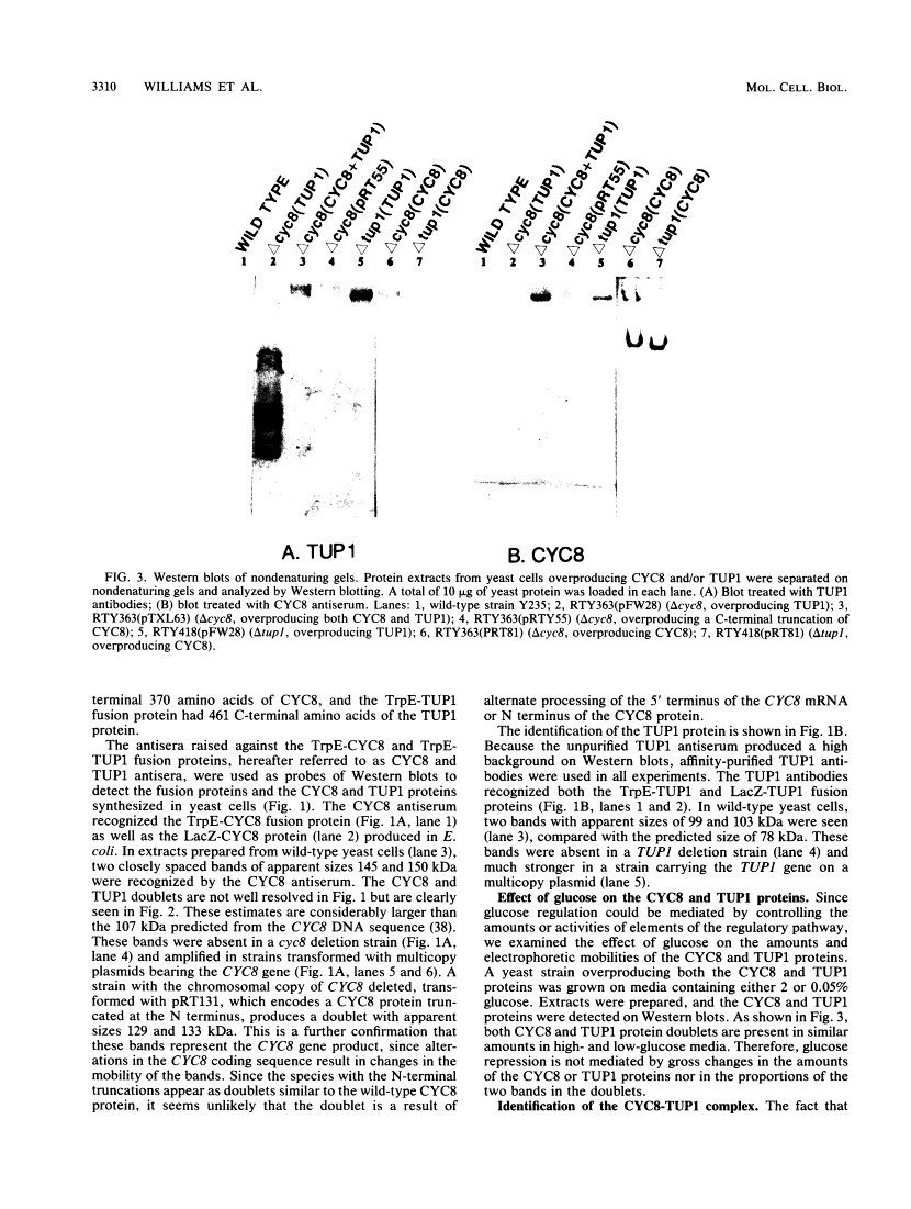 icon of scanned page 3310