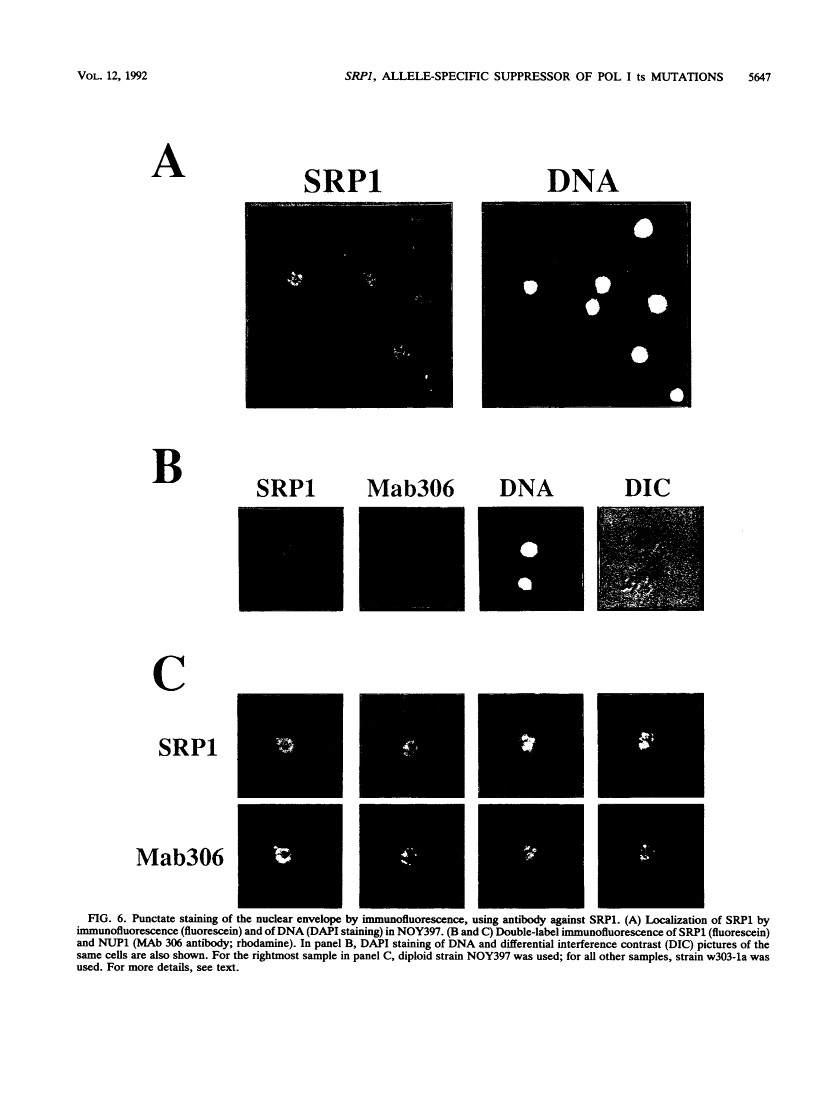 icon of scanned page 5647