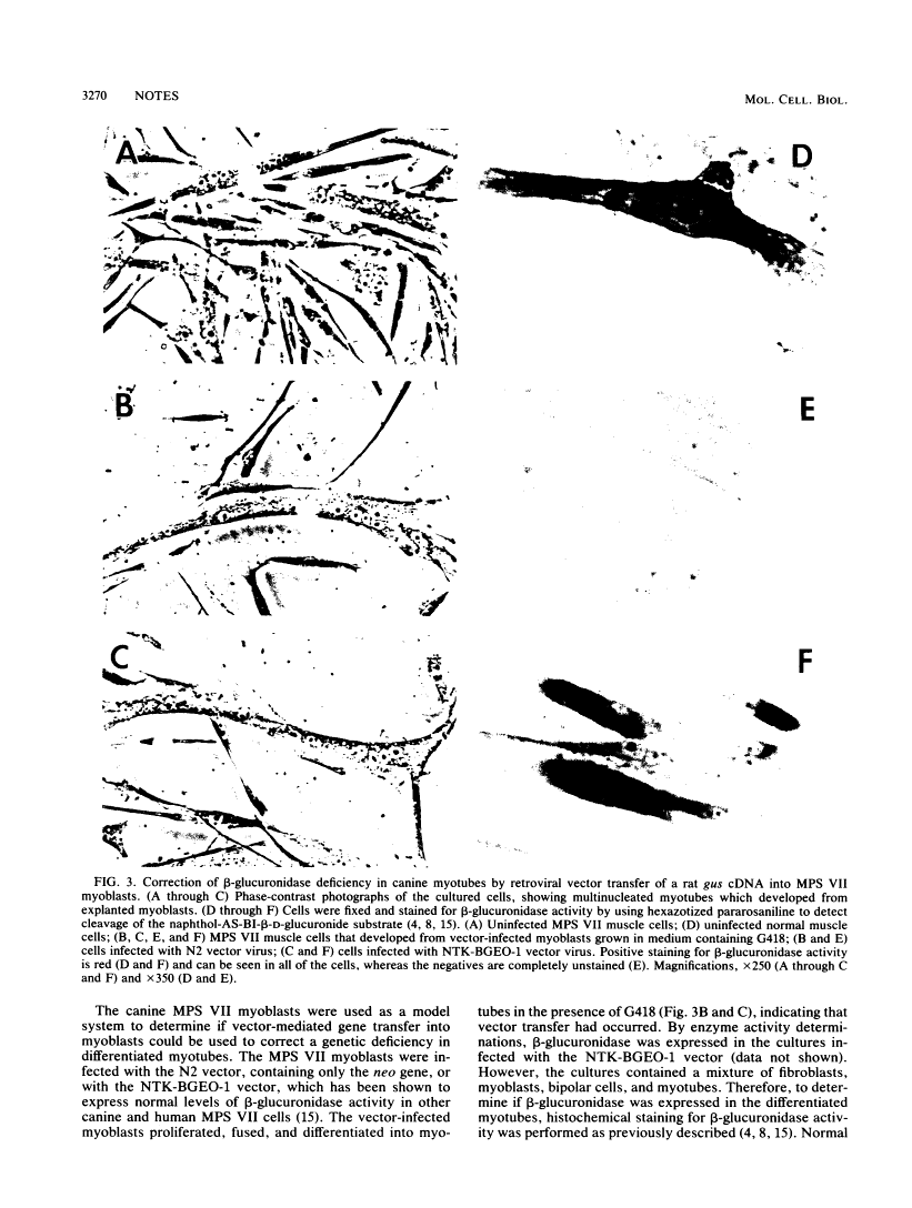 icon of scanned page 3270