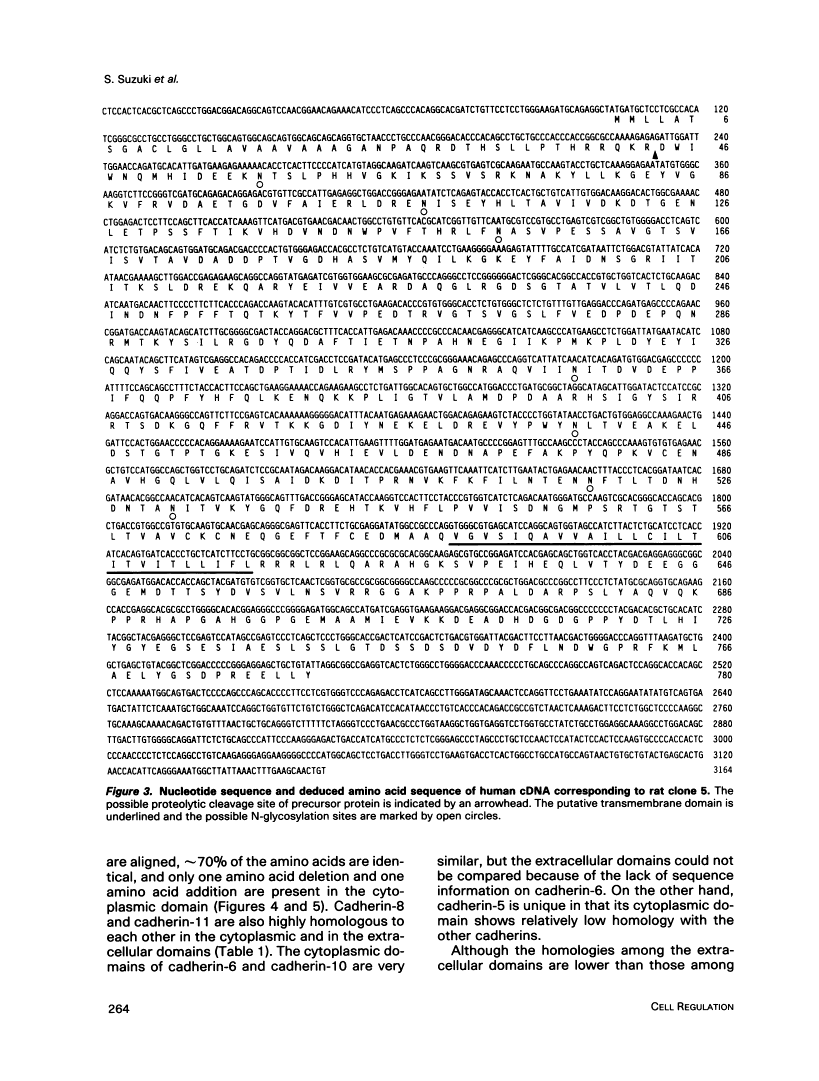 icon of scanned page 264