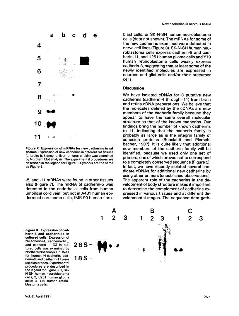 icon of scanned page 267