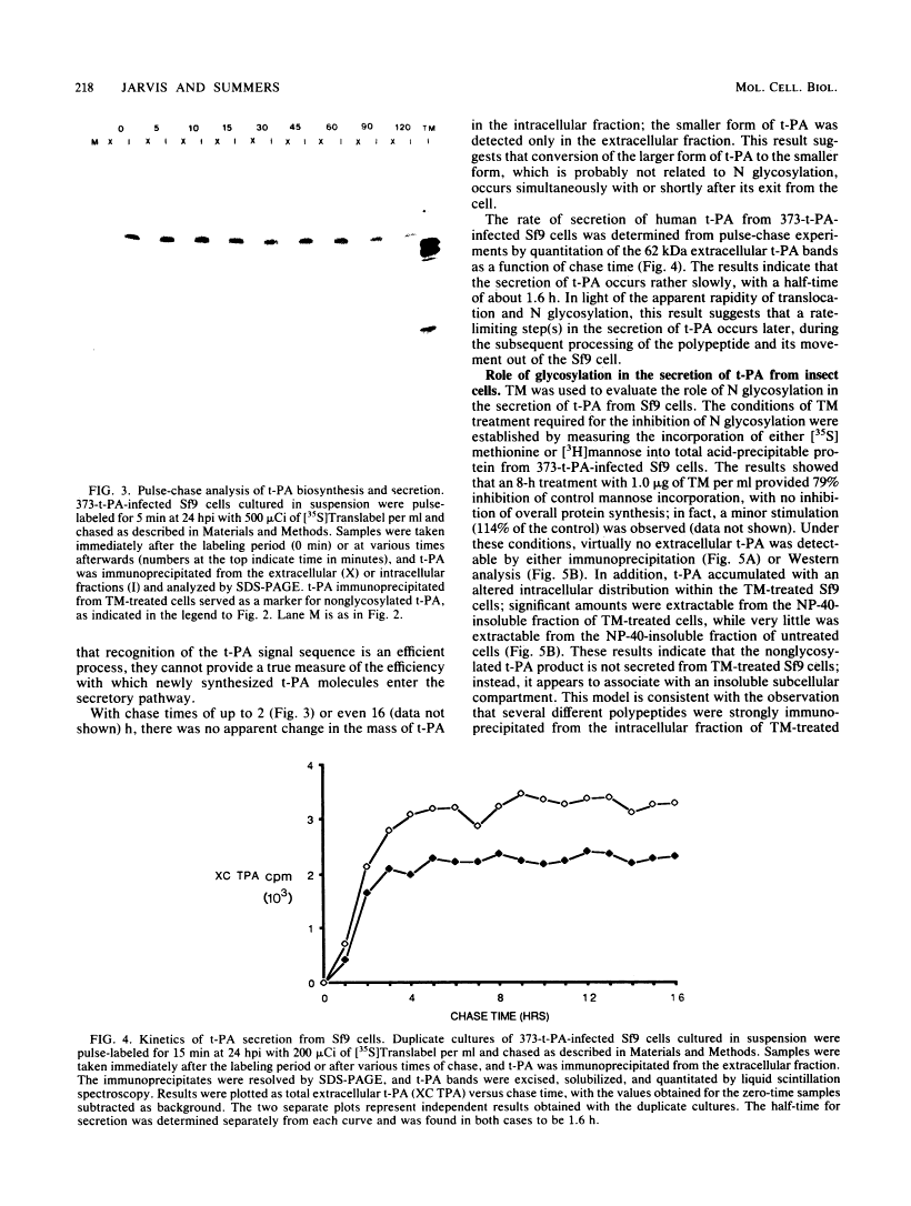 icon of scanned page 218