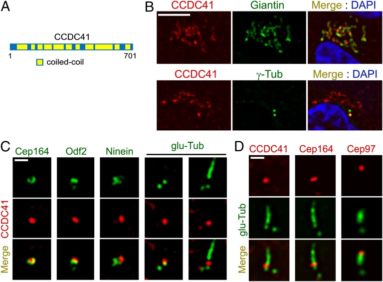 An external file that holds a picture, illustration, etc.
Object name is pnas.1220927110fig01.jpg