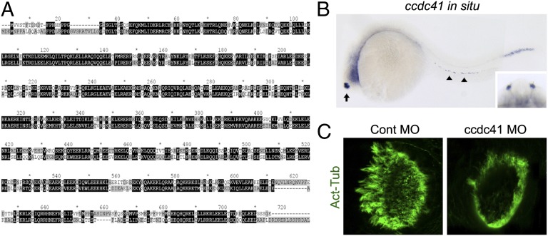 An external file that holds a picture, illustration, etc.
Object name is pnas.1220927110fig03.jpg