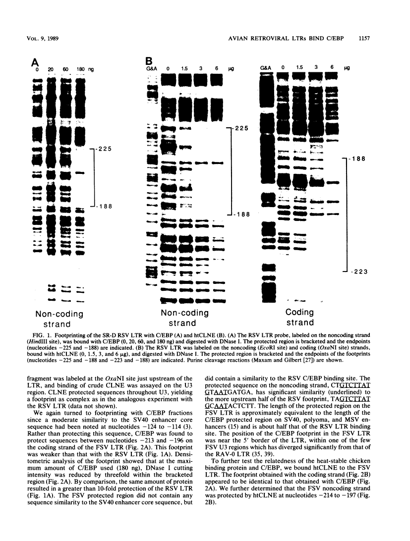 icon of scanned page 1157