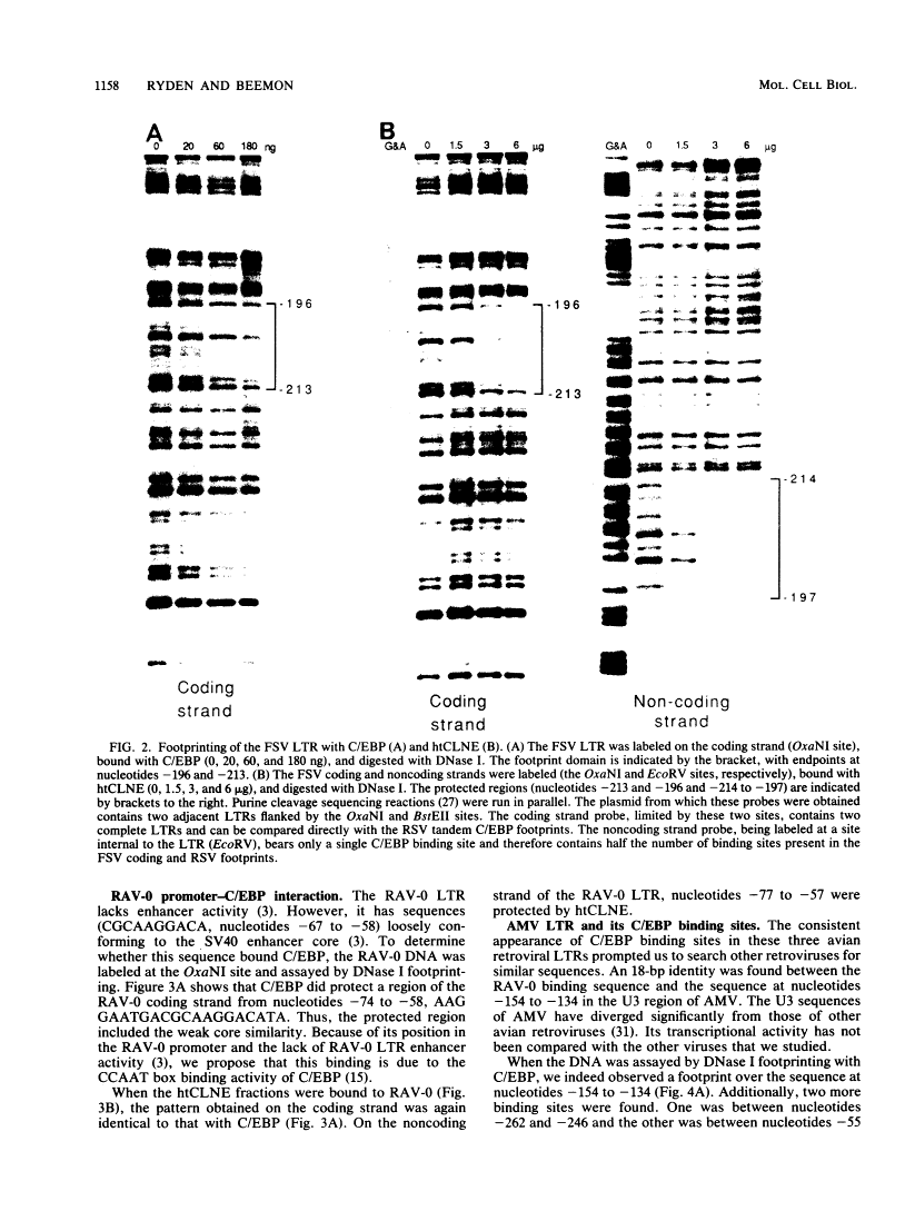 icon of scanned page 1158