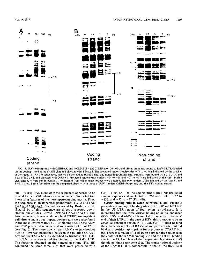 icon of scanned page 1159