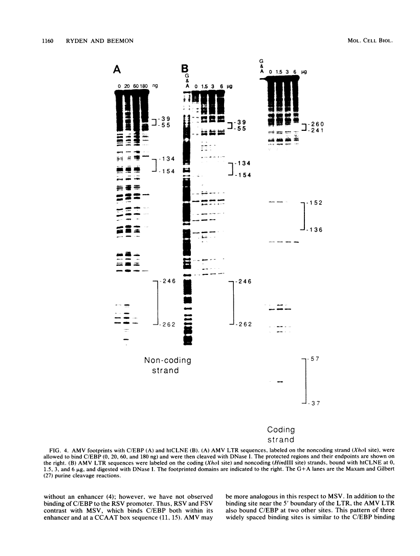 icon of scanned page 1160