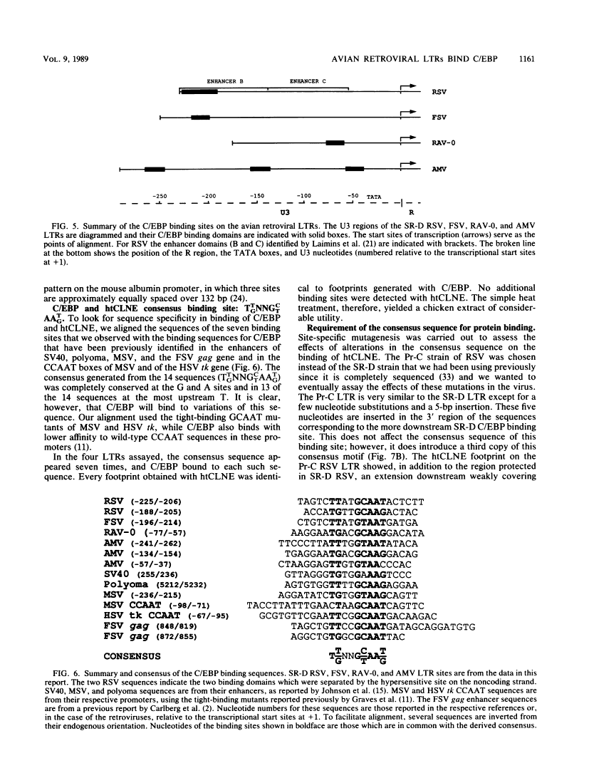 icon of scanned page 1161