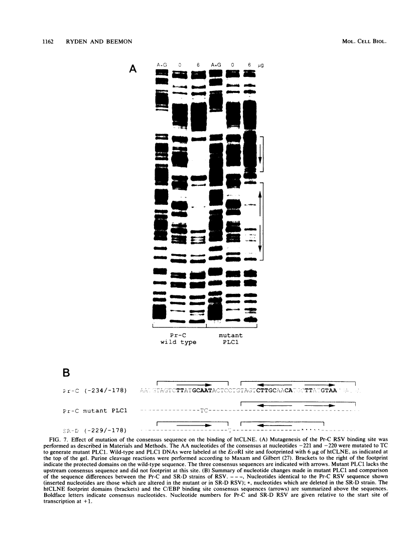 icon of scanned page 1162