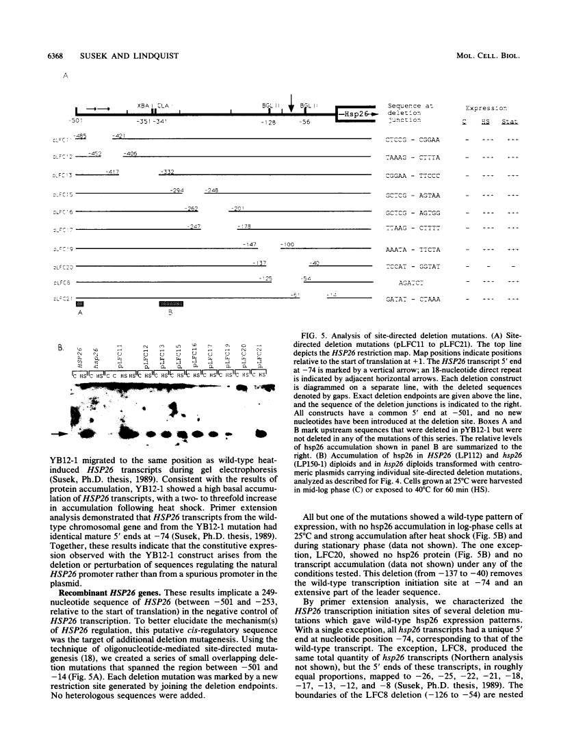 icon of scanned page 6368