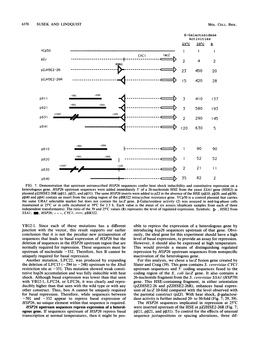 icon of scanned page 6370