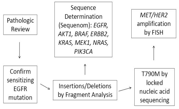 An external file that holds a picture, illustration, etc.
Object name is nihms-452193-f0001.jpg