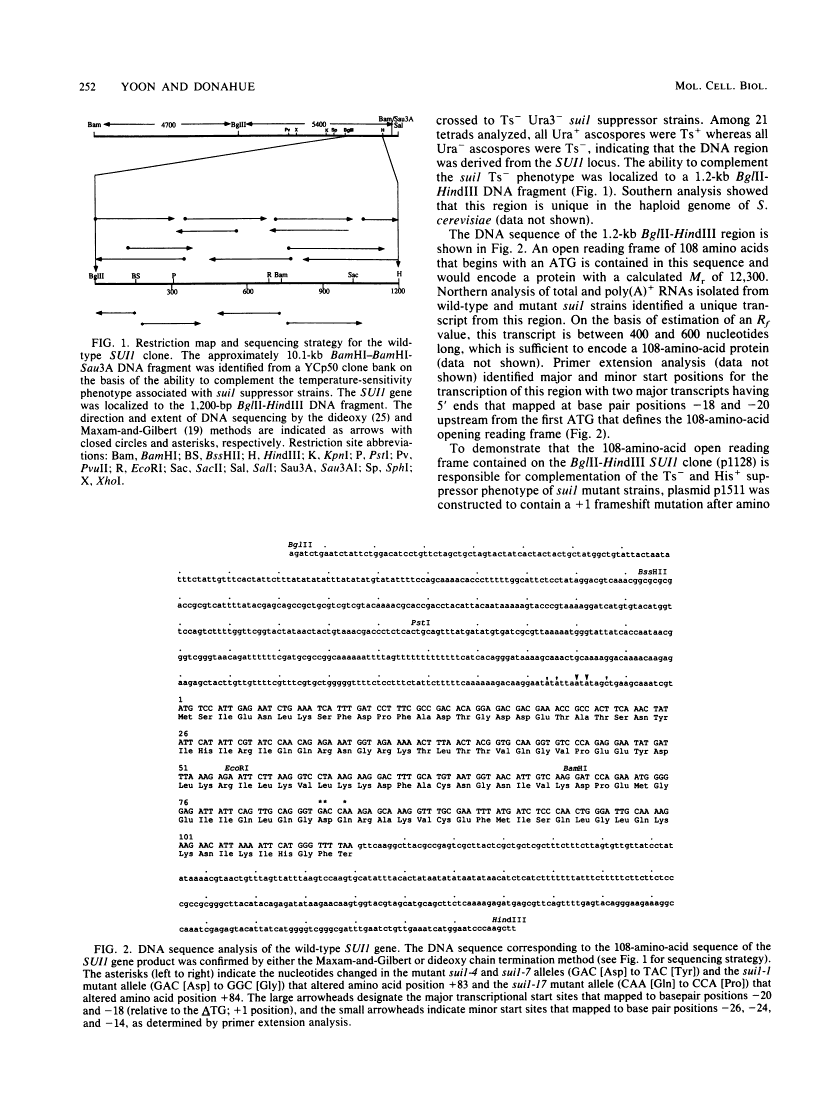 icon of scanned page 252