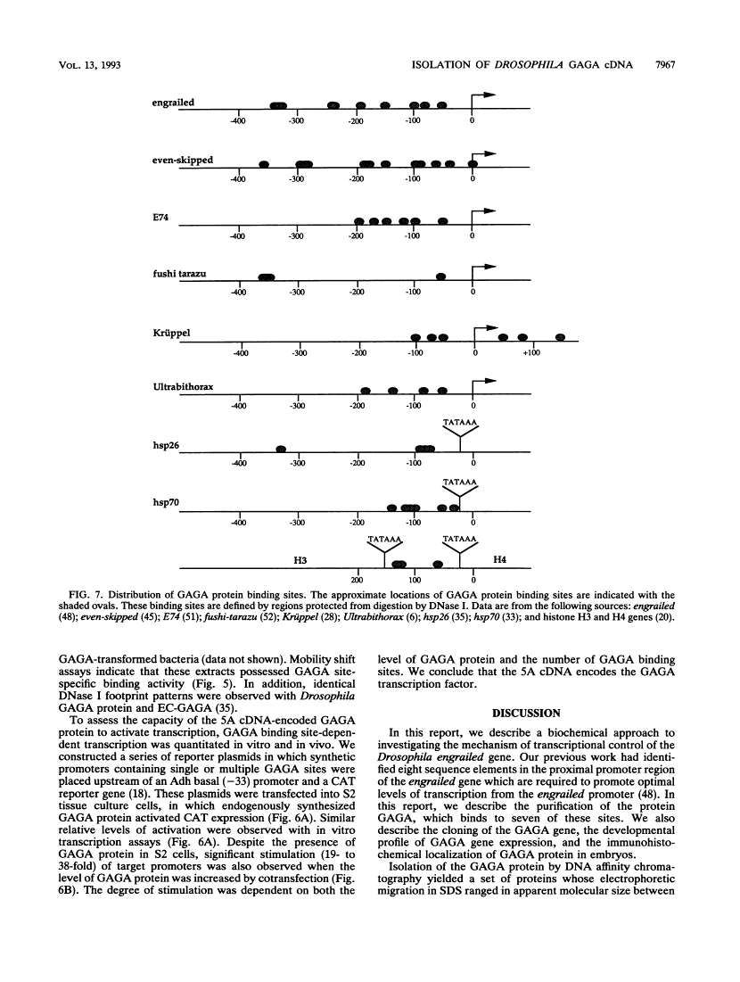 icon of scanned page 7967