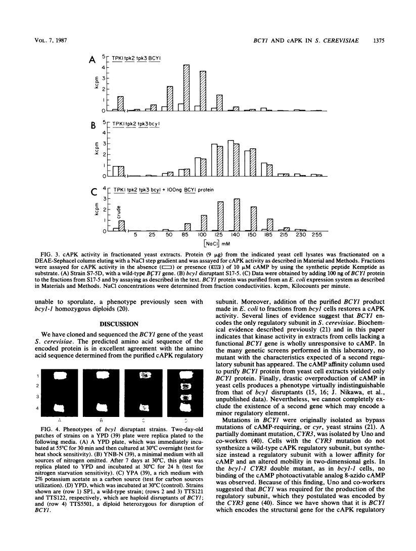 icon of scanned page 1375