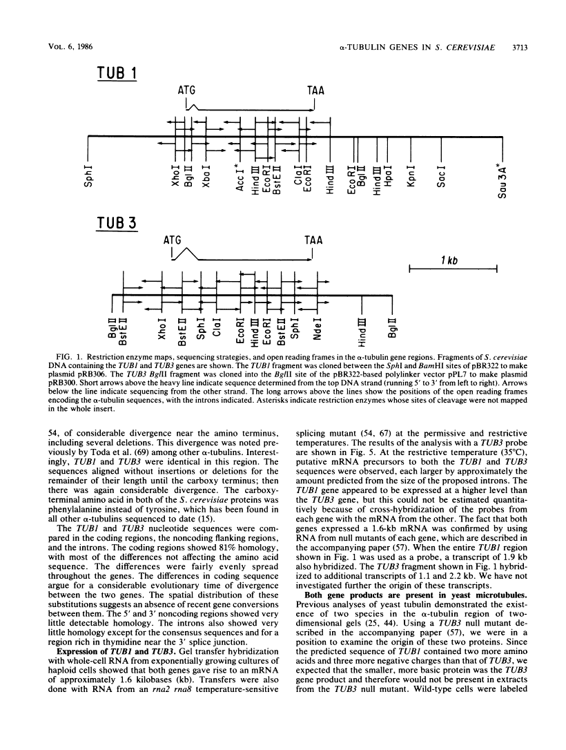 icon of scanned page 3713