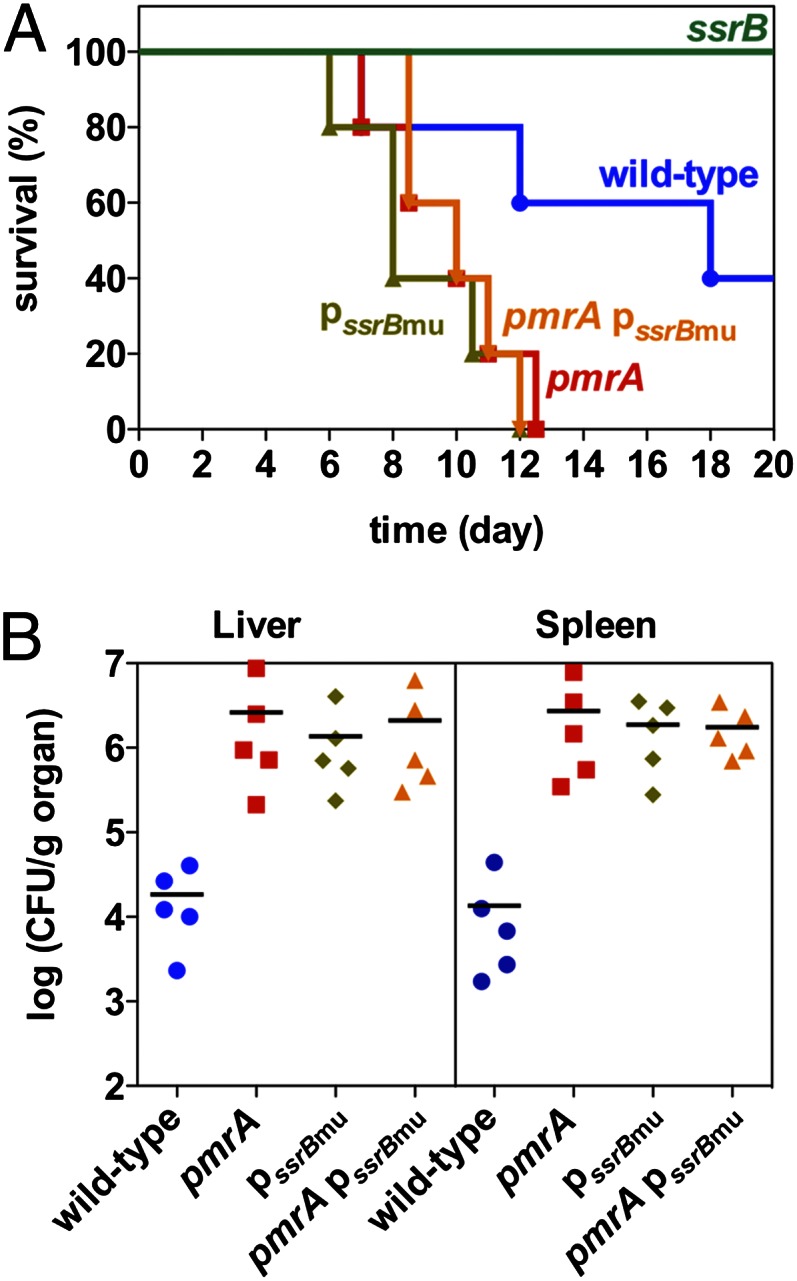 An external file that holds a picture, illustration, etc.
Object name is pnas.1303420110fig01.jpg