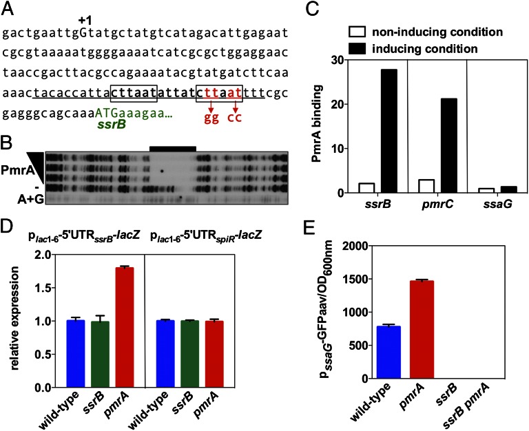 An external file that holds a picture, illustration, etc.
Object name is pnas.1303420110fig04.jpg