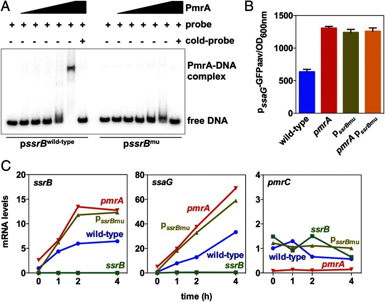 An external file that holds a picture, illustration, etc.
Object name is pnas.1303420110fig05.jpg