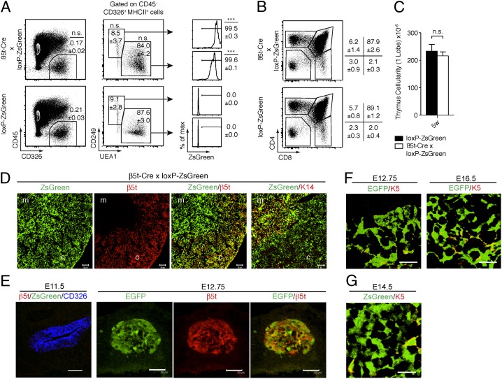 An external file that holds a picture, illustration, etc.
Object name is pnas.1301799110fig03.jpg