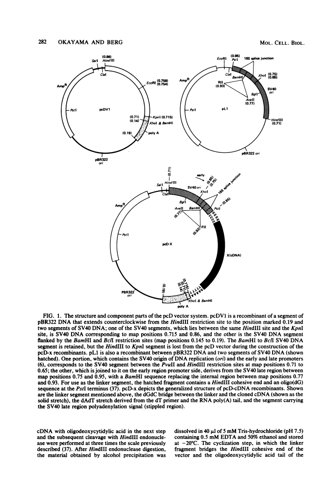 icon of scanned page 282