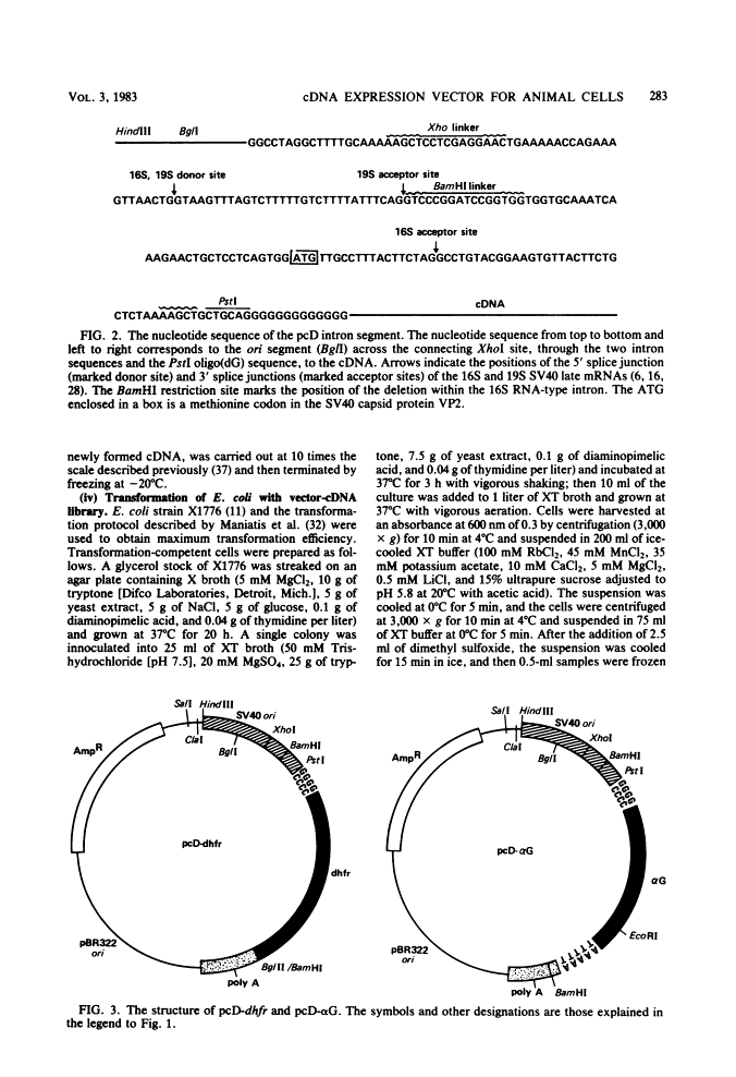 icon of scanned page 283