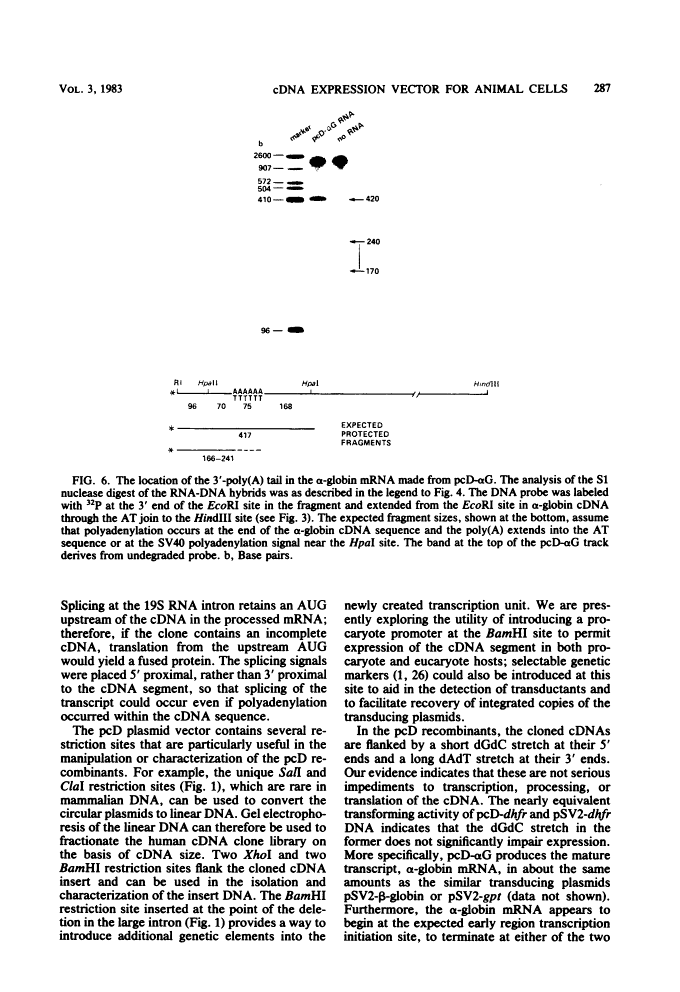 icon of scanned page 287