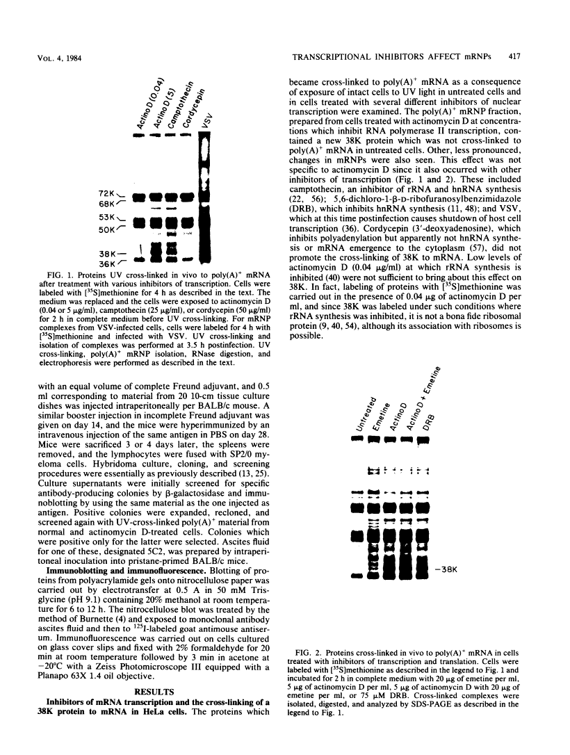 icon of scanned page 417