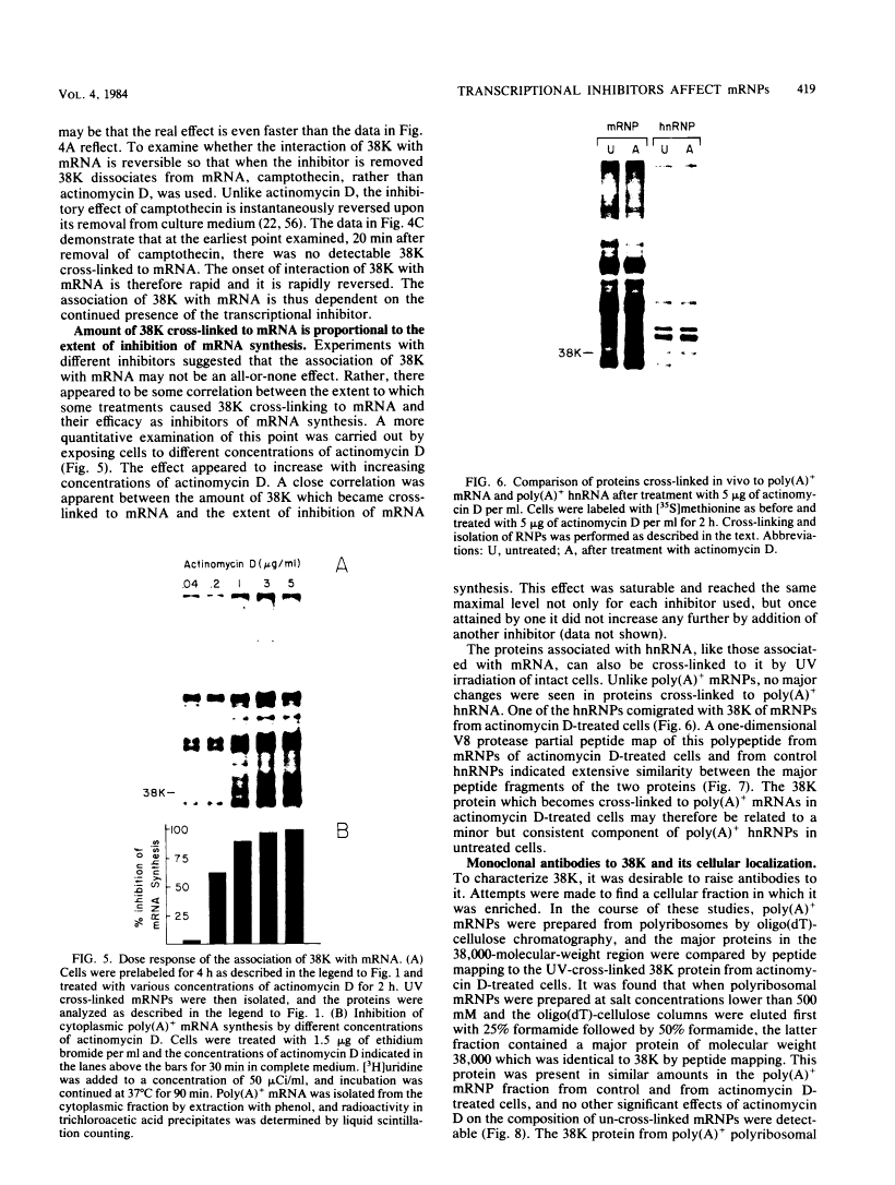 icon of scanned page 419