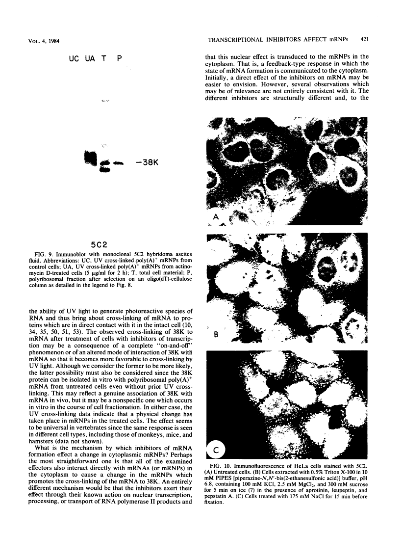 icon of scanned page 421