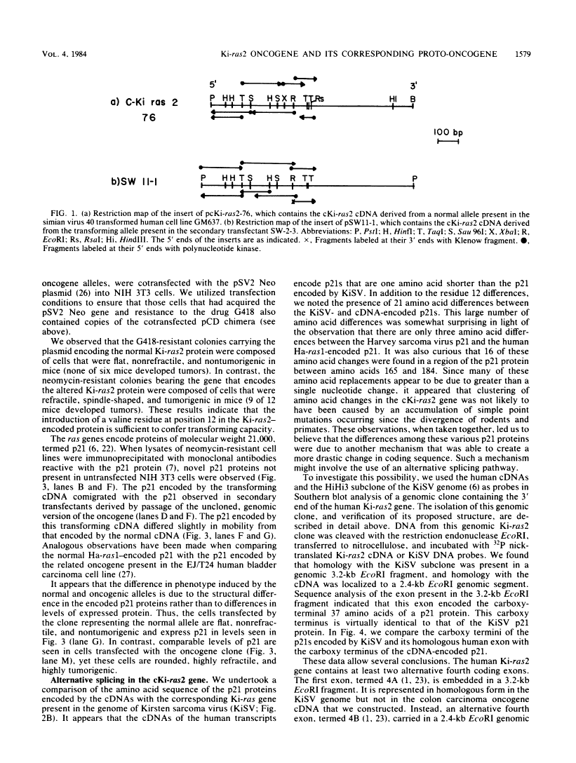 icon of scanned page 1579