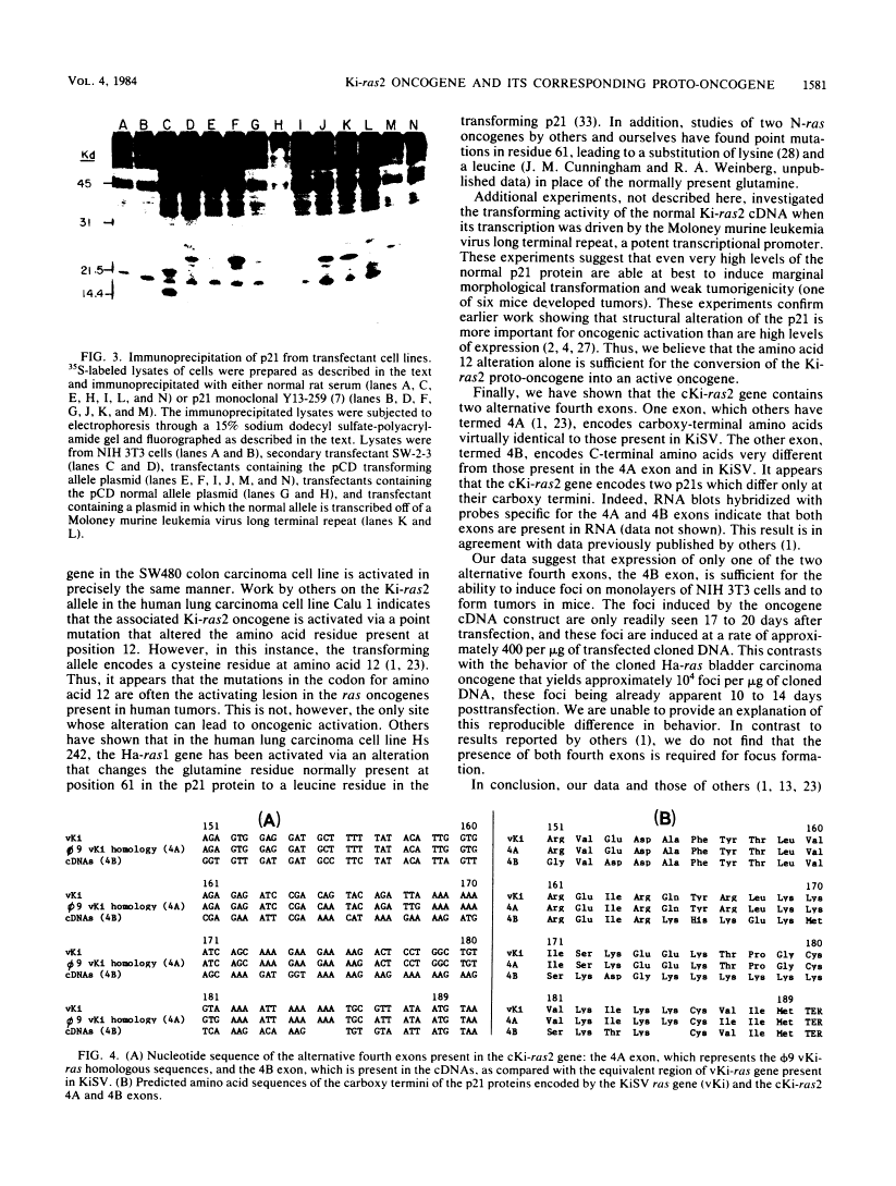 icon of scanned page 1581