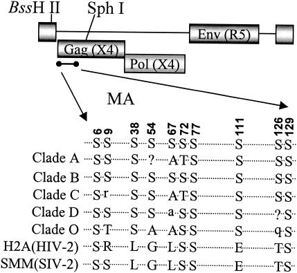 An external file that holds a picture, illustration, etc.
Object name is zjv0050416150001.jpg