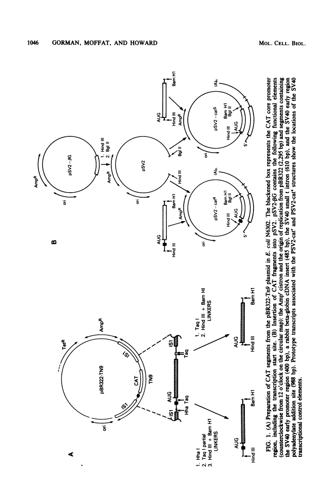 icon of scanned page 1046