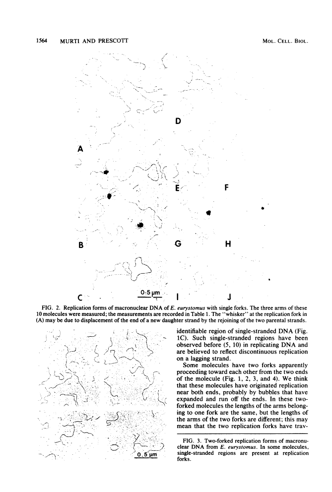 icon of scanned page 1564