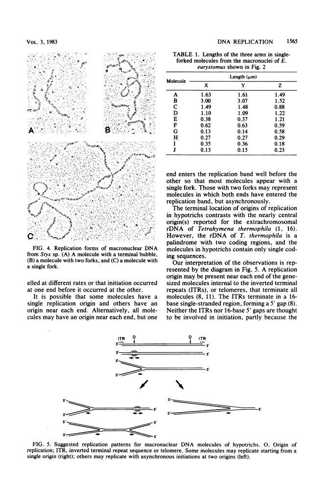 icon of scanned page 1565