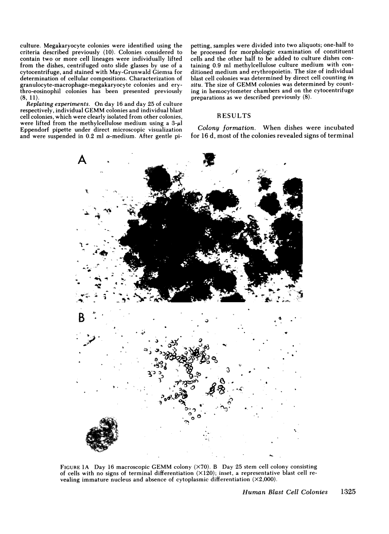 icon of scanned page 1325