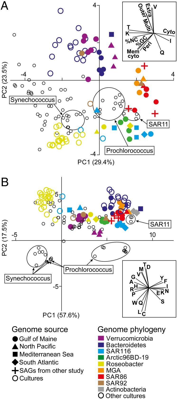 An external file that holds a picture, illustration, etc.
Object name is pnas.1304246110fig01.jpg