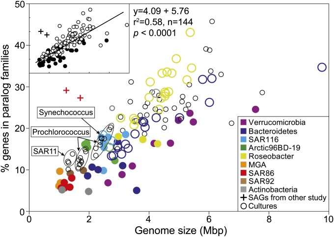 An external file that holds a picture, illustration, etc.
Object name is pnas.1304246110fig02.jpg