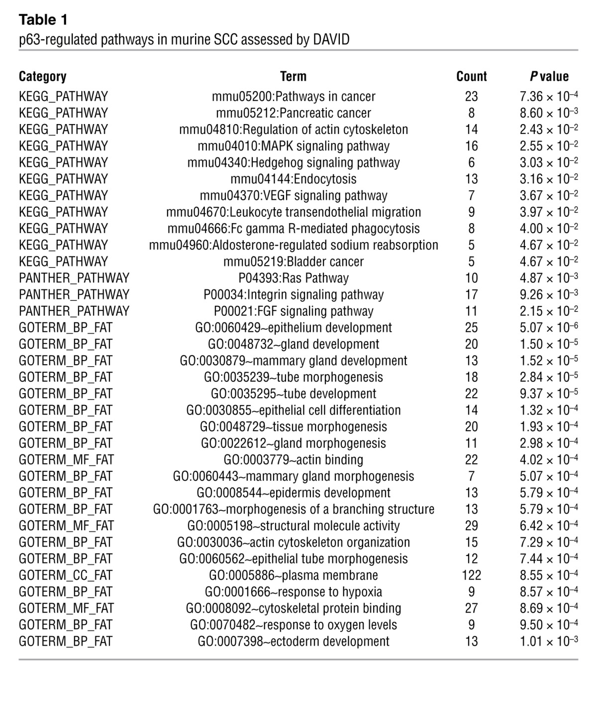 An external file that holds a picture, illustration, etc.
Object name is JCI68899.t1.jpg