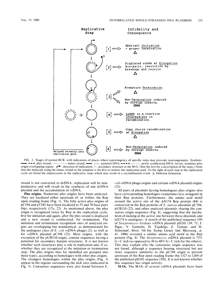 icon of scanned page 233