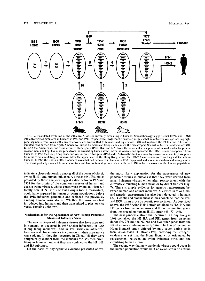 icon of scanned page 170