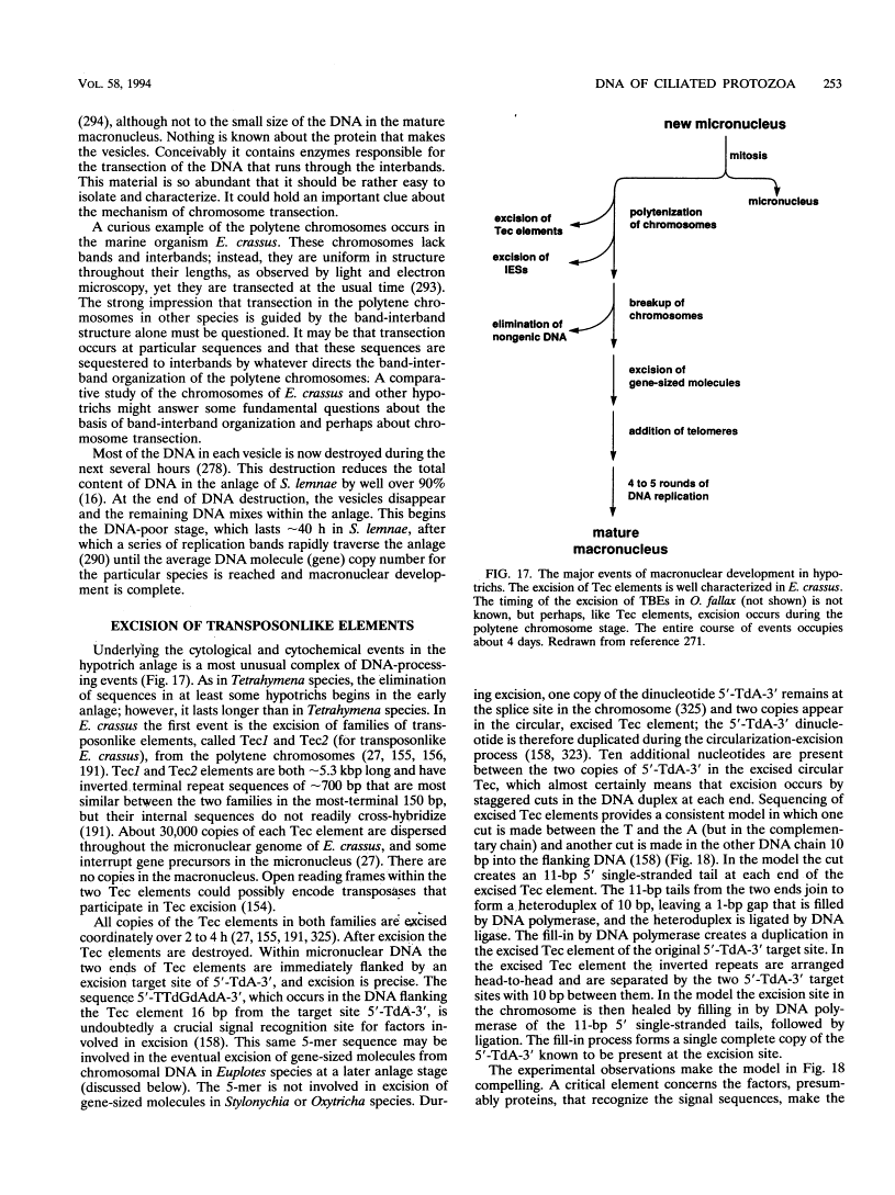 icon of scanned page 253