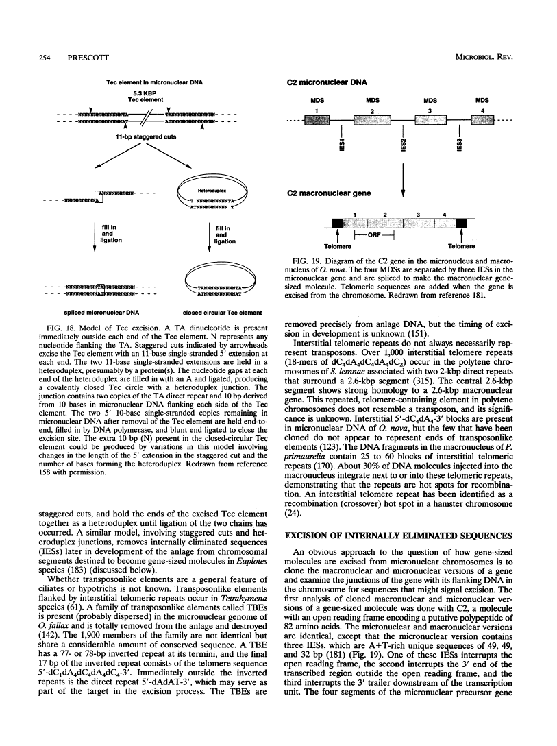 icon of scanned page 254