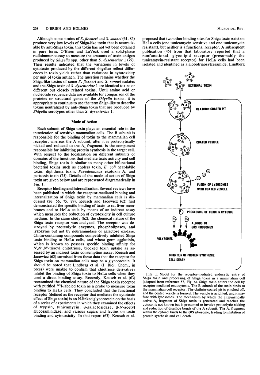 icon of scanned page 208