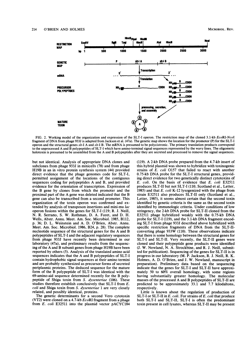 icon of scanned page 214