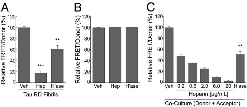 An external file that holds a picture, illustration, etc.
Object name is pnas.1301440110fig05.jpg