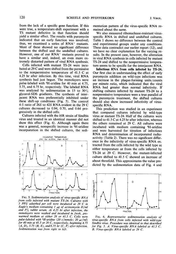 icon of scanned page 120